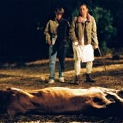 Mysterious Skin - galeria zdjęć - filmweb