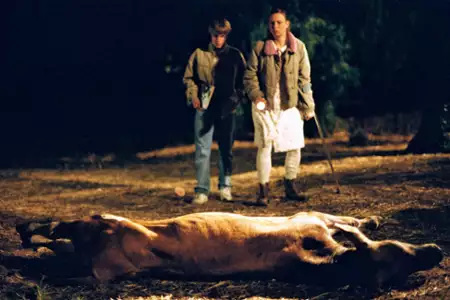 Zły dotyk - galeria zdjęć - filmweb