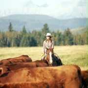 Montana Sky - galeria zdjęć - filmweb