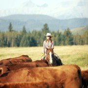 Montana Sky - galeria zdjęć - filmweb