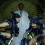 Freak Orlando - galeria zdjęć