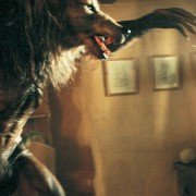 Dog Soldiers - galeria zdjęć - filmweb