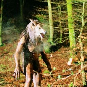 Dog Soldiers - galeria zdjęć - filmweb