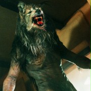 Dog Soldiers - galeria zdjęć - filmweb