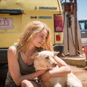 Wolf Creek - galeria zdjęć - filmweb