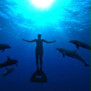 Zatoka delfinów - galeria zdjęć - filmweb