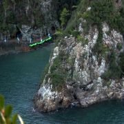 The Cove - galeria zdjęć - filmweb