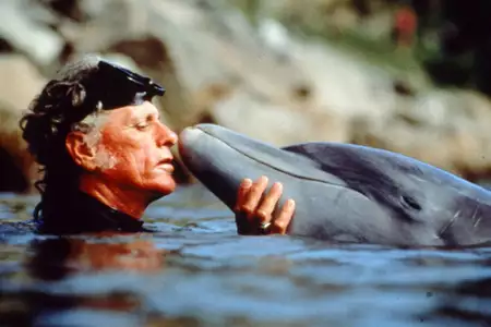 Zatoka delfin&oacute;w - galeria zdjęć - filmweb
