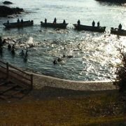 The Cove - galeria zdjęć - filmweb