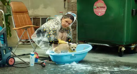 Opowieści Franka - galeria zdjęć - filmweb