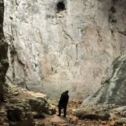 The Way Back - galeria zdjęć - filmweb
