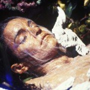 Invasion of the Body Snatchers - galeria zdjęć - filmweb