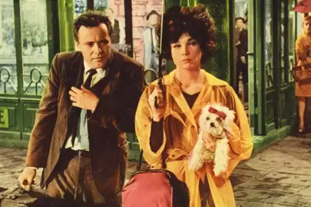 Słodka Irma - galeria zdjęć - filmweb