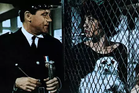 Słodka Irma - galeria zdjęć - filmweb