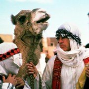 Ishtar - galeria zdjęć - filmweb
