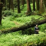 Xing Kong - galeria zdjęć - filmweb