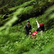 Xing Kong - galeria zdjęć - filmweb