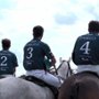 Polo - galeria zdjęć