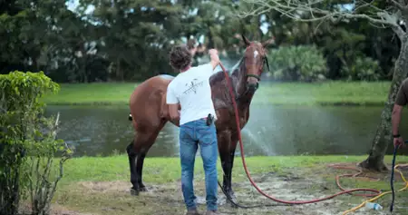 Polo - galeria zdjęć - filmweb