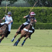 Polo - galeria zdjęć - filmweb