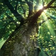 Karigurashi no Arrietty - galeria zdjęć - filmweb