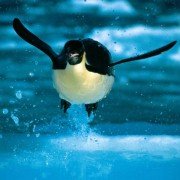 Deep Blue - galeria zdjęć - filmweb