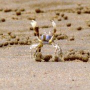 Deep Blue - galeria zdjęć - filmweb