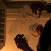 Ślepnąc od świateł - galeria zdjęć - filmweb