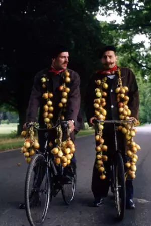 'Allo 'Allo! - galeria zdjęć - filmweb