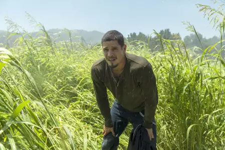 Mayans M.C. - galeria zdjęć - filmweb