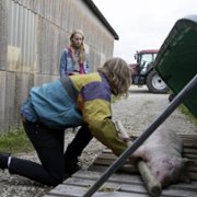Interwencja - galeria zdjęć - filmweb