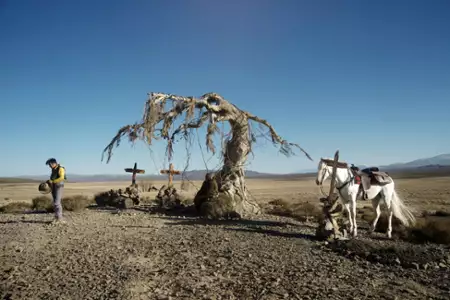Lucky Luke - galeria zdjęć - filmweb