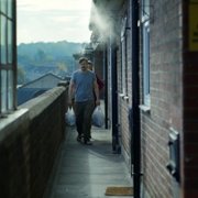 Kot w ścianie - galeria zdjęć - filmweb