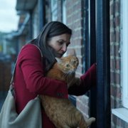 Kot w ścianie - galeria zdjęć - filmweb