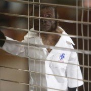 Animal Practice - galeria zdjęć - filmweb