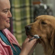 Animal Practice - galeria zdjęć - filmweb