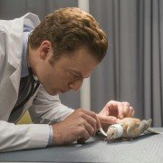 Animal Practice - galeria zdjęć - filmweb