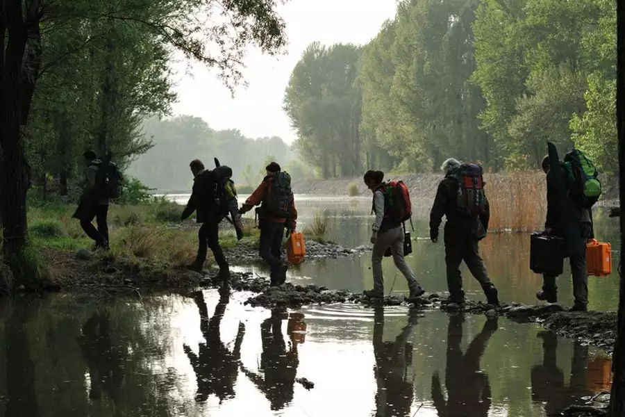 Grobowiec smoka - galeria zdjęć - filmweb