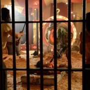 31 - galeria zdjęć - filmweb