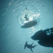 Pirates of the Caribbean: Dead Men Tell No Tales - galeria zdjęć - filmweb