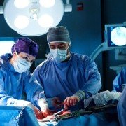 Saving Hope - galeria zdjęć - filmweb