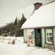 Maudie - galeria zdjęć - filmweb