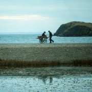 Maudie - galeria zdjęć - filmweb