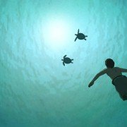 La tortue rouge - galeria zdjęć - filmweb