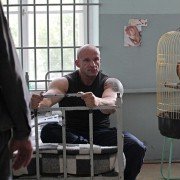 Pitbull. Niebezpieczne kobiety - galeria zdjęć - filmweb