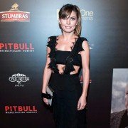 Pitbull. Niebezpieczne kobiety - galeria zdjęć - filmweb