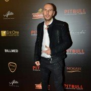 Pitbull. Niebezpieczne kobiety - galeria zdjęć - filmweb