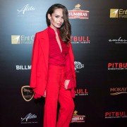 Pitbull. Niebezpieczne kobiety - galeria zdjęć - filmweb