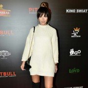 Pitbull. Niebezpieczne kobiety - galeria zdjęć - filmweb