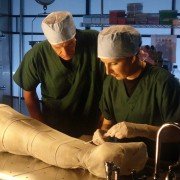 Mumie 3D. Sekrety Faraonów - galeria zdjęć - filmweb